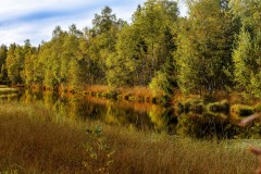 01 Der See