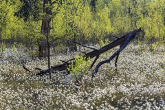 10 Meer in Weiss