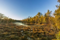 26 Goldener See
