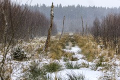 30 Und der Schnee fällt 