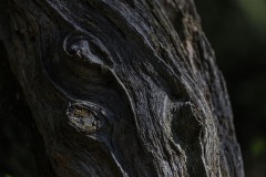 68 Holzskulptur 
