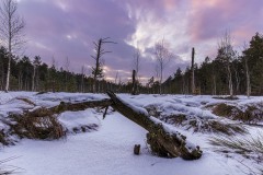 70 Winter in Pastell