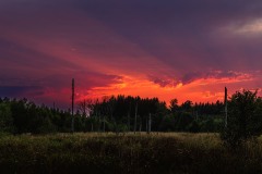 74 Sundowner