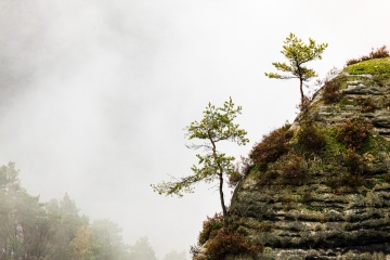 Bastei