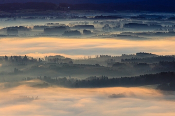 Morgennebel