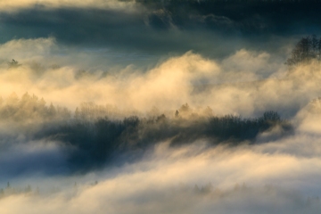 Morgennebel