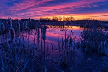 Wintermorgen