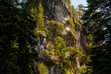 1_RHO_2016-06-10_Baeren_Slowakei_5DIII_5225