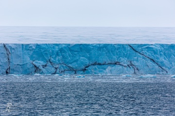 Brasvellsbreen
