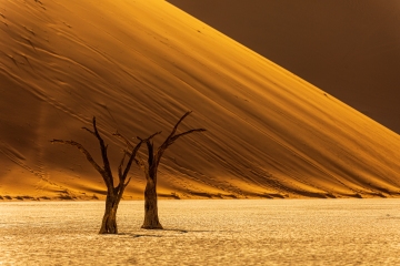 Dead Vlei