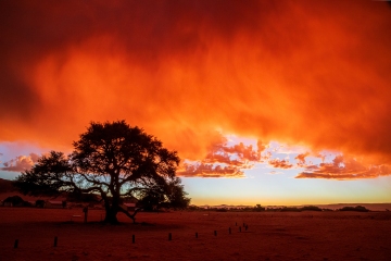 Regenzeit beginnt in Sesriem