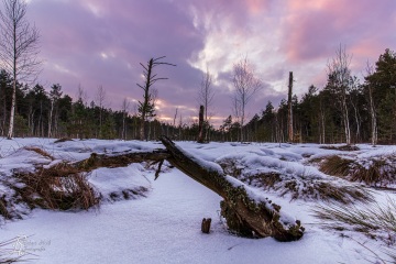 Winter in Pastell