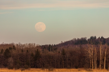 Mond über Ampermoos