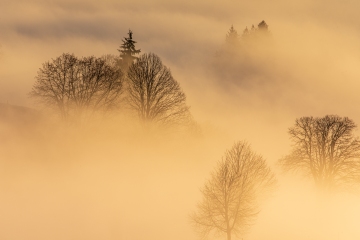 Herbstnebel