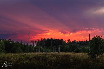 Sundowner