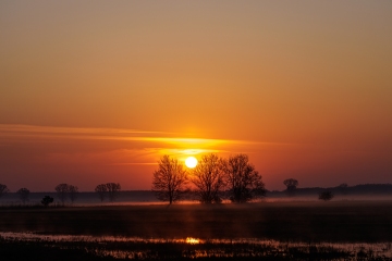 Neusiedler See