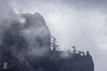 Im Nebel