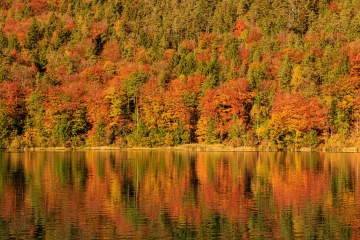 Thumsee