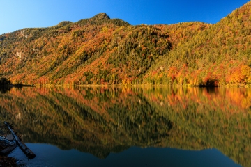Thumsee