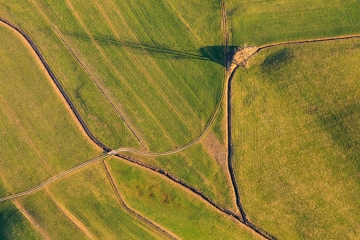 Ostallgäu