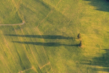 Ostallgäu