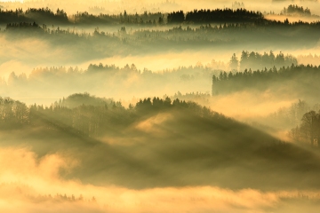 Morgenlicht