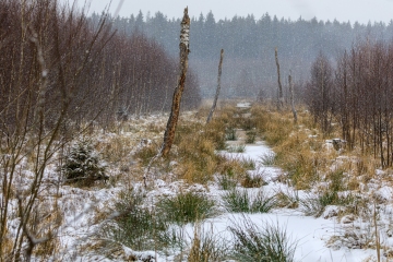 und der Schnee fällt