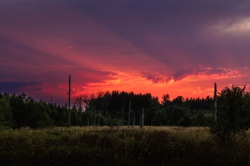 Sundowner