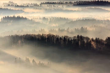 Morgennebel