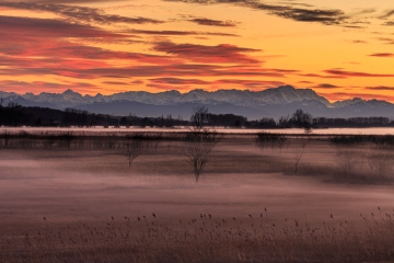 Ampermoos mit Zugspitze