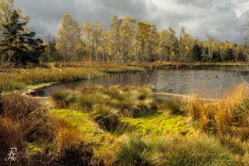 Haspelmoor_2006_11_0004