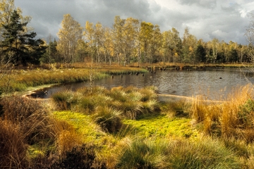 Der See im Haspelmoor