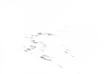 Island grafisch