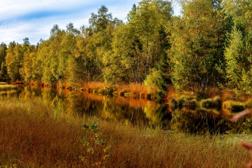 Der See im Haspelmoor
