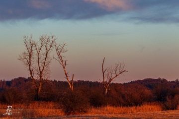 RHO_2013-12-28_unbenannt_9258