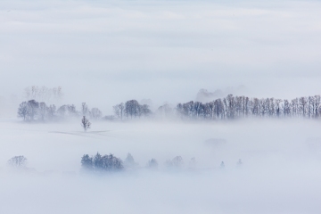 Morgennebel