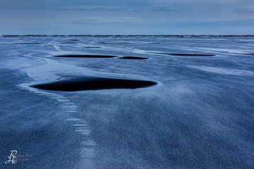 RHO_2014-06-10_Island_7051