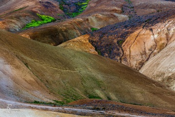 RHO_2015-08-25_Island_5D3_1603