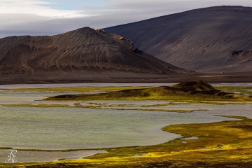 RHO_2015-08-28_Island_5D3_3799