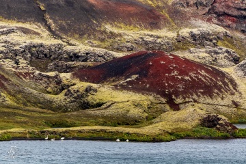 RHO_2015-08-28_Island_7D2_0548
