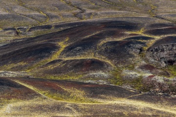 RHO_2015-08-28_Island_7D2_0566