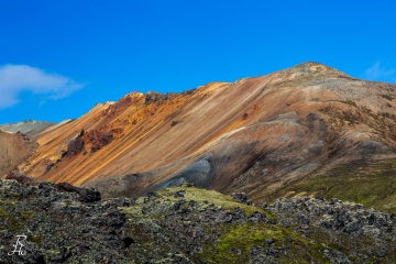 RHO_2015-08-29_Island_5D3_4627