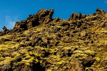 RHO_2015-08-29_Island_5D3_4649