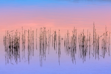 Ammersee