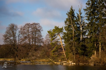 RHO_2016-12-03_unbenannt_2279