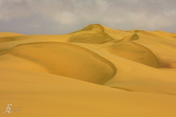 RHO_2017-12-02_Namibia_5D4_7557