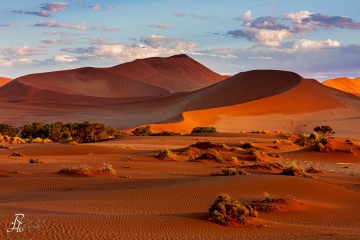 RHO_2017-12-04_Namibia_5D4_8510