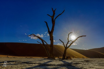 RHO_2017-12-04_Namibia_5D4_8708