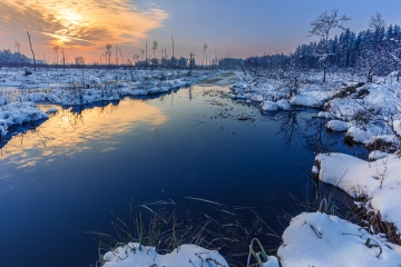 Kalt war's, saukalt - Rotes Moos