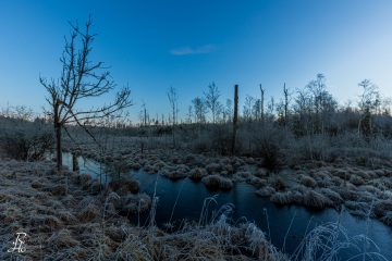 RHO_2018-12-26_Rotes_Moos_4107-HDR